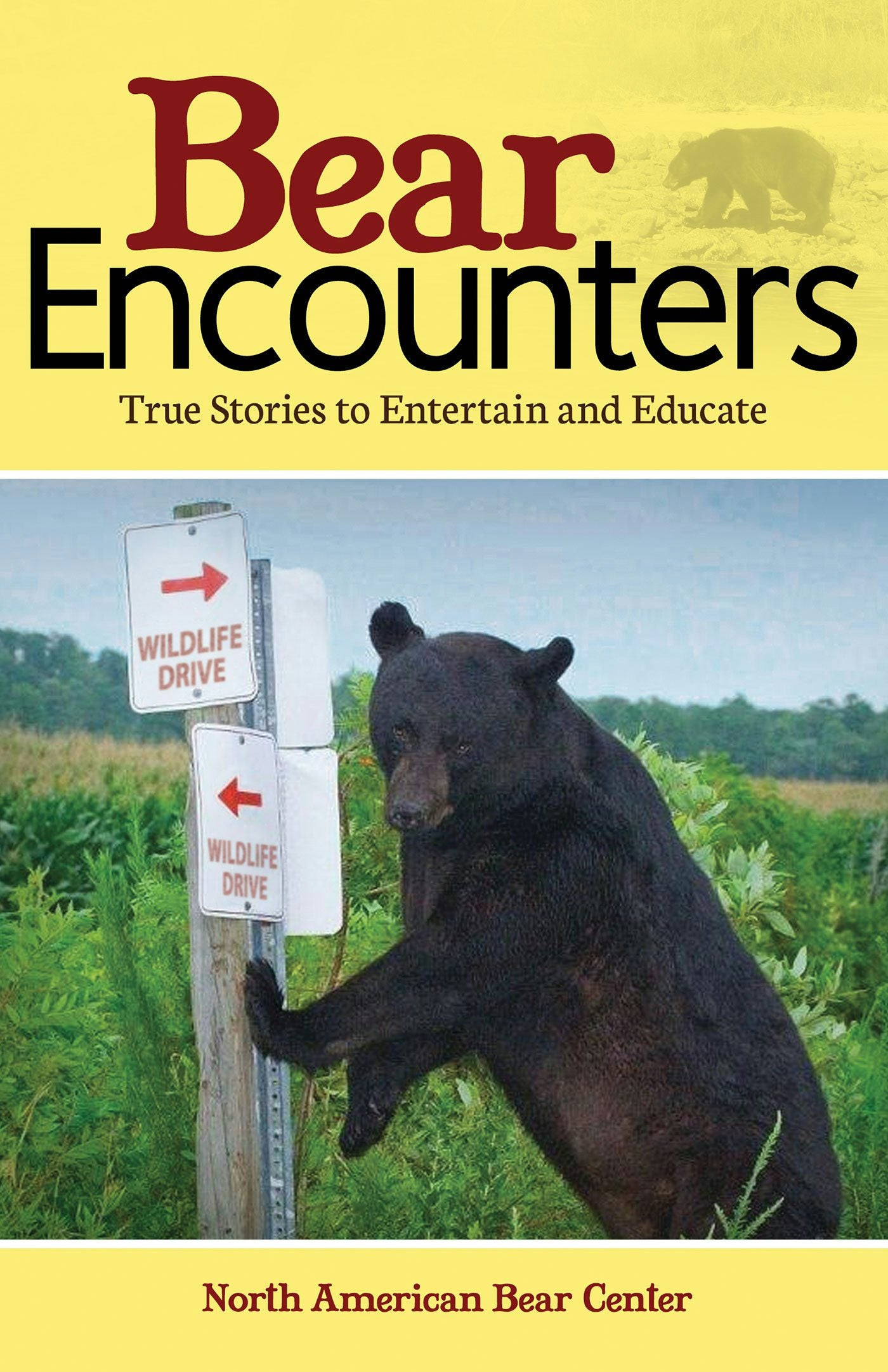 Book cover image for Bear Encounters ISBN: 9781591934165