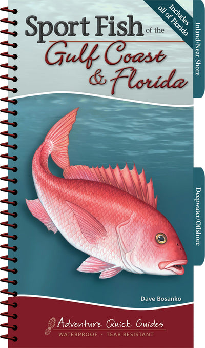 Cover image for Sport Fish of the Gulf Coast & Florida, isbn: 9781591935803