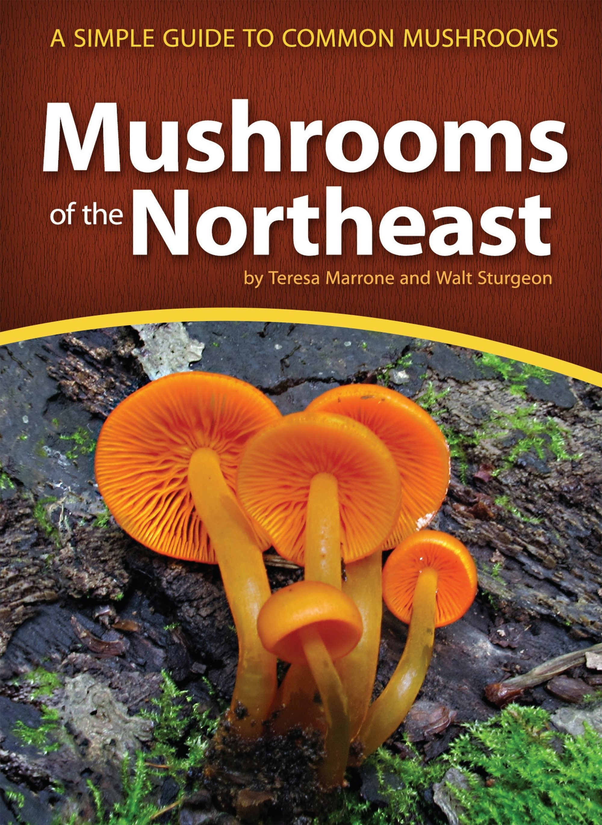 Book cover image for Mushrooms of the Northeast ISBN: 9781591936312