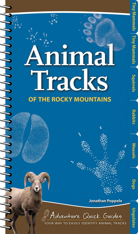 Animal Tracks of the Rocky Mountains