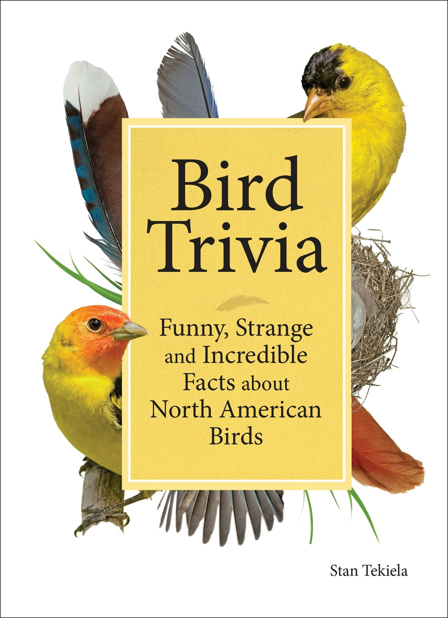 Book cover image for Bird Trivia ISBN: 9781591938101