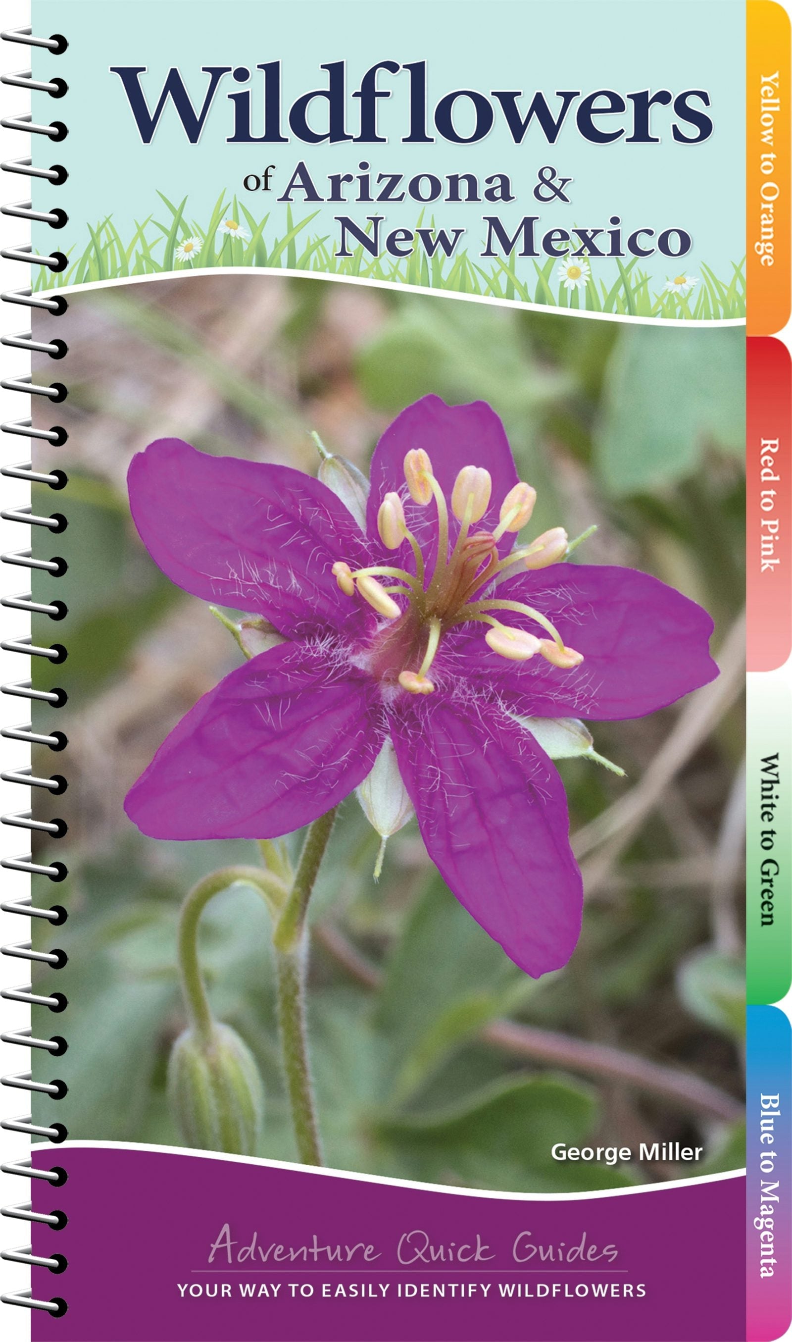 Book cover image for Wildflowers of Arizona & New Mexico ISBN: 9781591938170