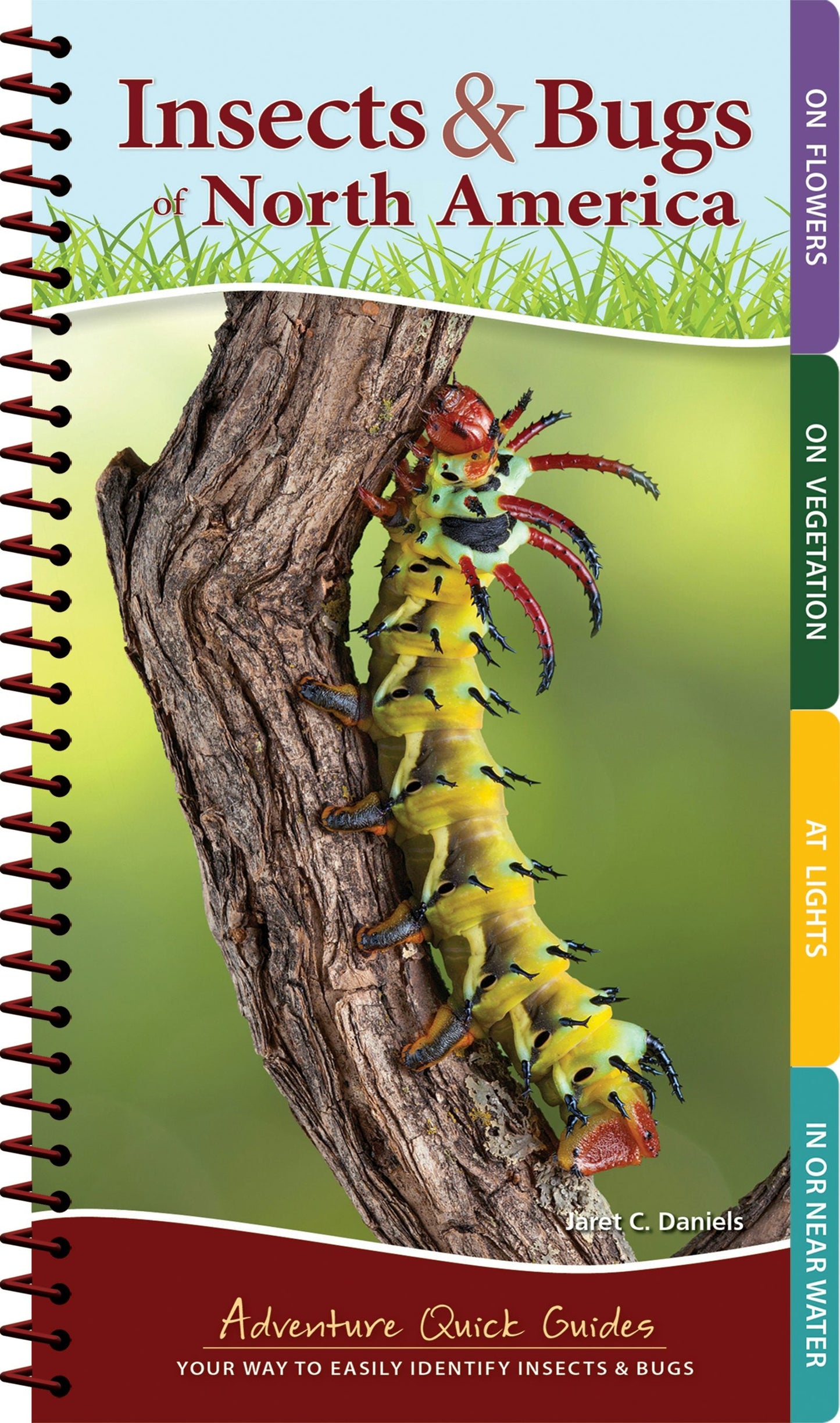Book cover image for Insects & Bugs of North America ISBN: 9781591938187