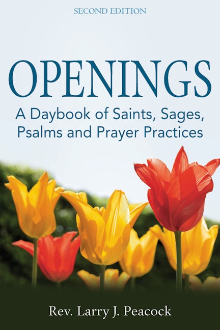 Book cover image for Openings (2nd Edition) ISBN: 9781594735455