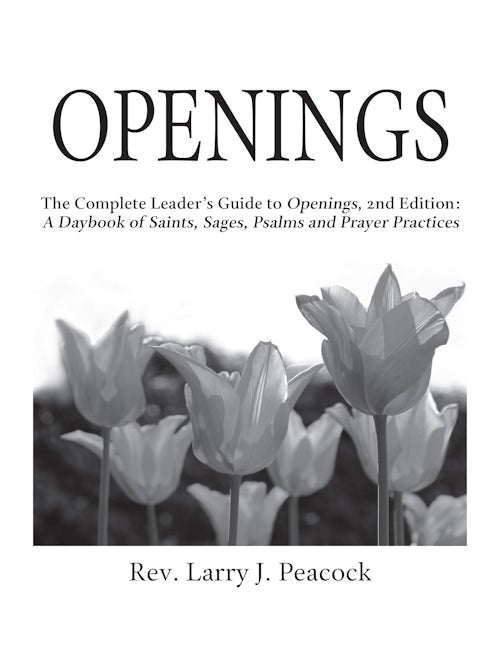 Book cover image for Openings Leader Guide 2/E ISBN: 9781594735721
