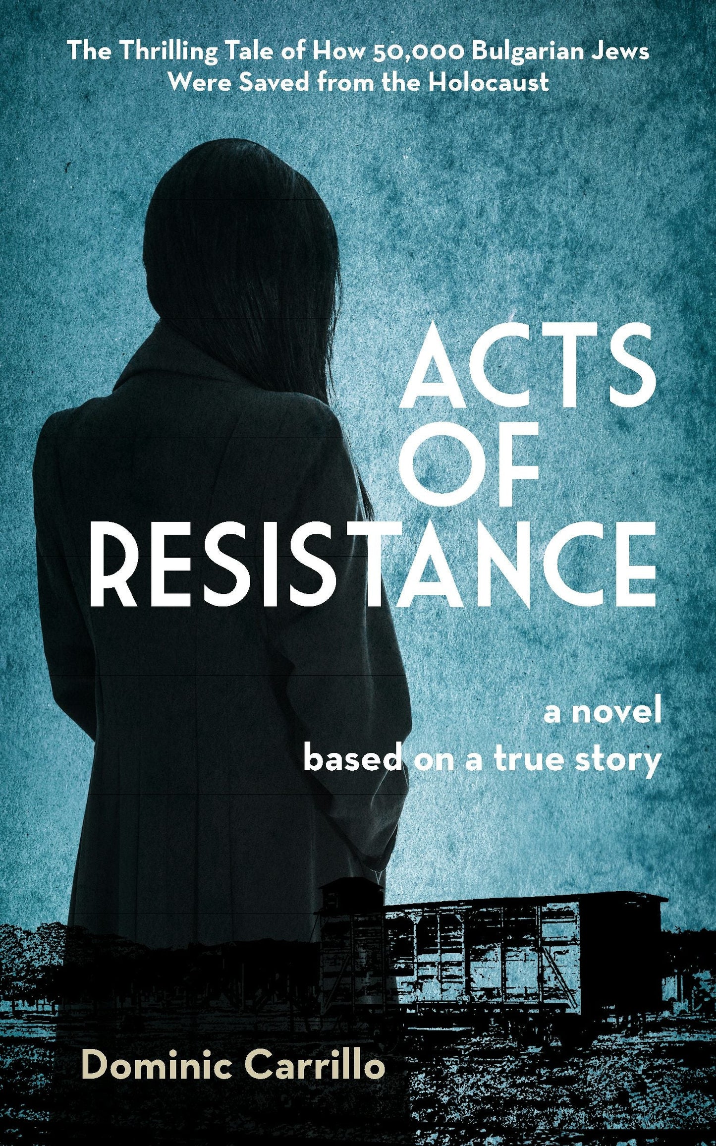 Cover image for Acts of Resistance: A Novel, isbn: 9781595801340
