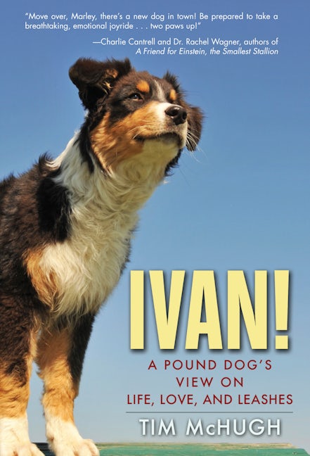 Book cover image for Ivan! ISBN: 9781596528314