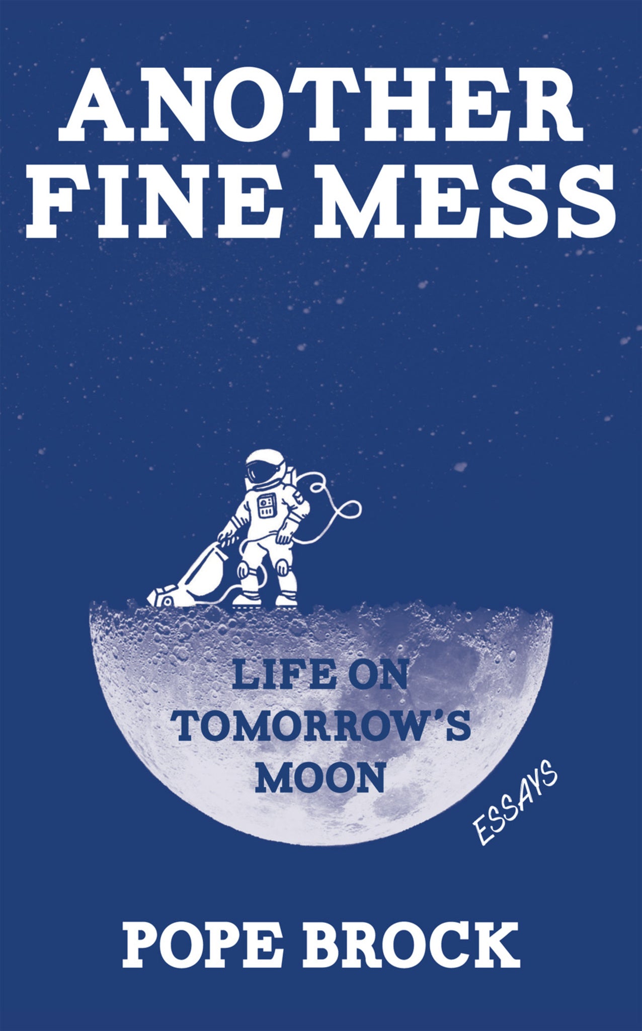Cover image for Another Fine Mess ISBN 9781597095075