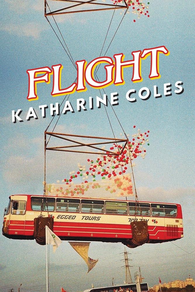 Book cover image for Flight ISBN: 9781597095174