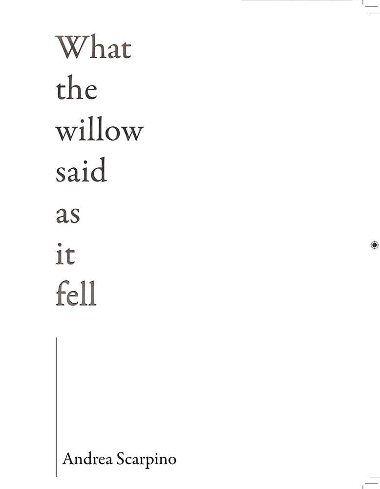Book cover image for What the Willow Said as It Fell ISBN: 9781597095853
