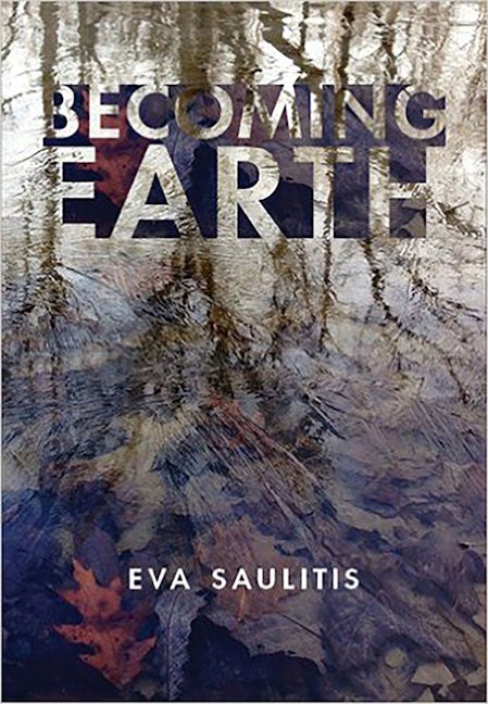 Cover image for Becoming Earth ISBN 9781597095662