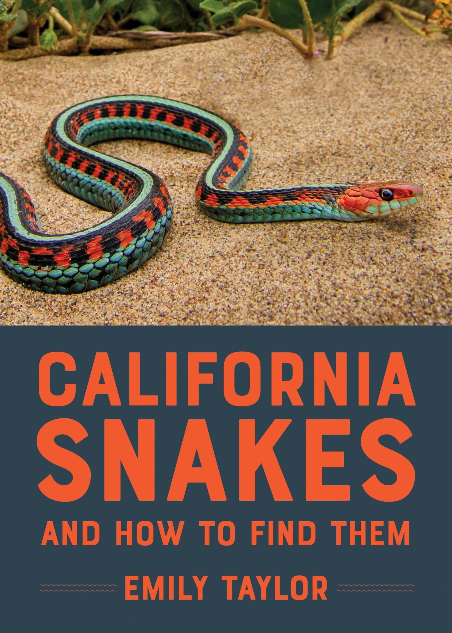 Book cover image for California Snakes and How to Find Them ISBN: 9781597146357