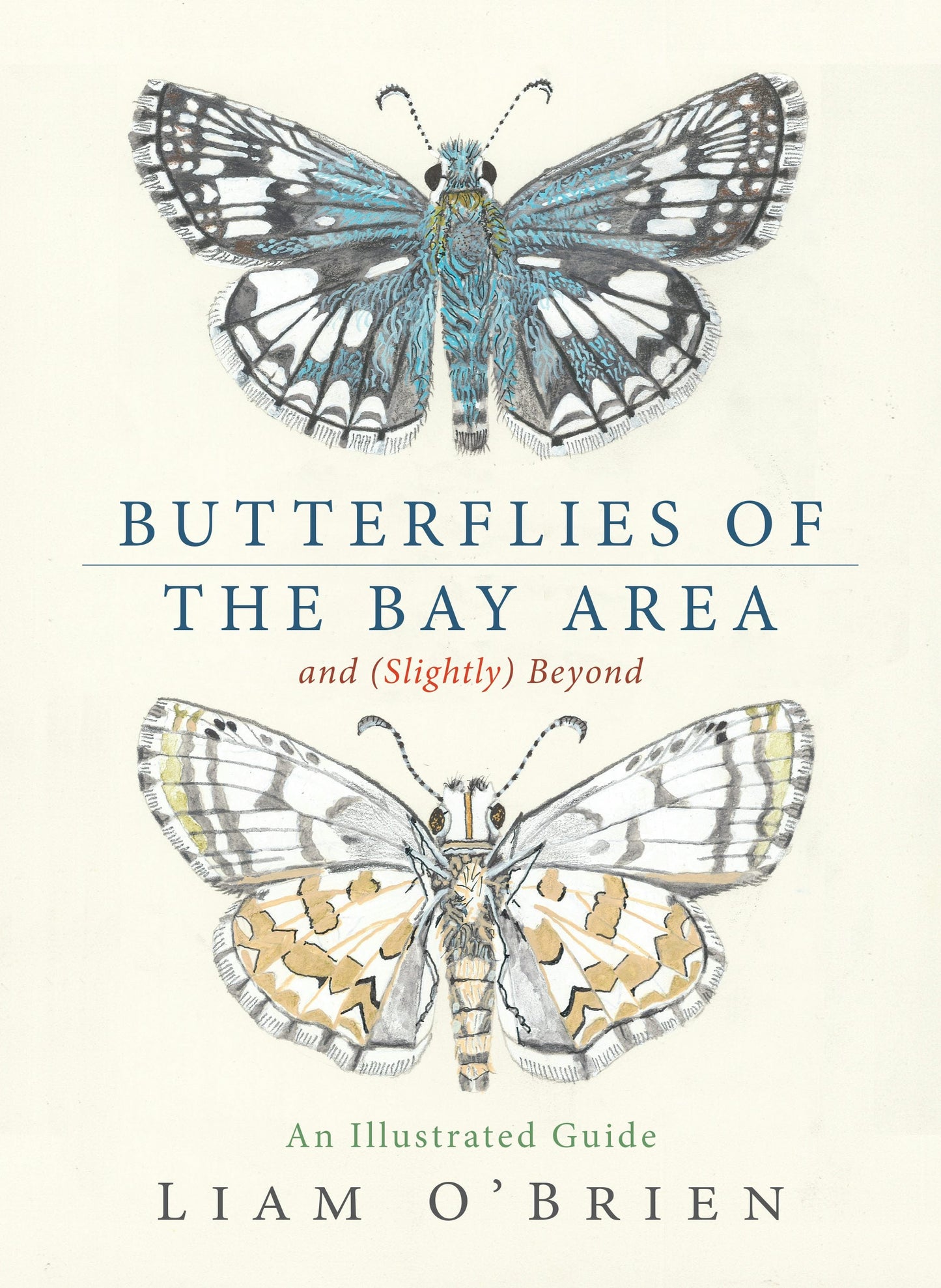 Book cover image for Butterflies of the Bay Area and (Slightly) Beyond ISBN: 9781597146869