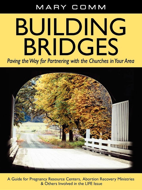 Book cover image for Building Bridges ISBN: 9781600374104