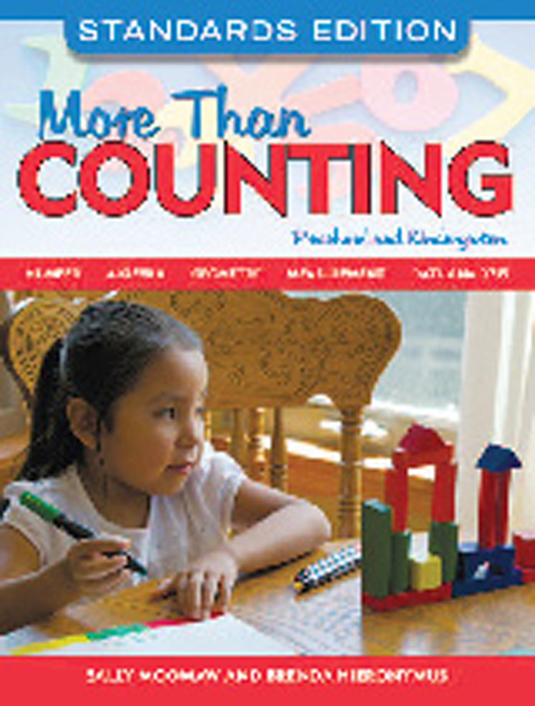 Cover image for More Than Counting ISBN 9781605541006