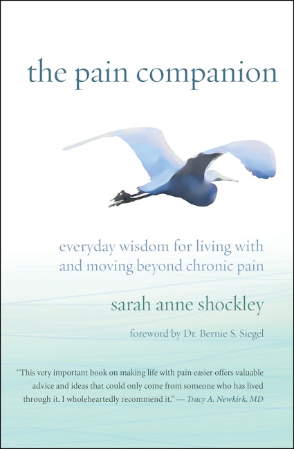 Book cover image for The Pain Companion ISBN: 9781608685707