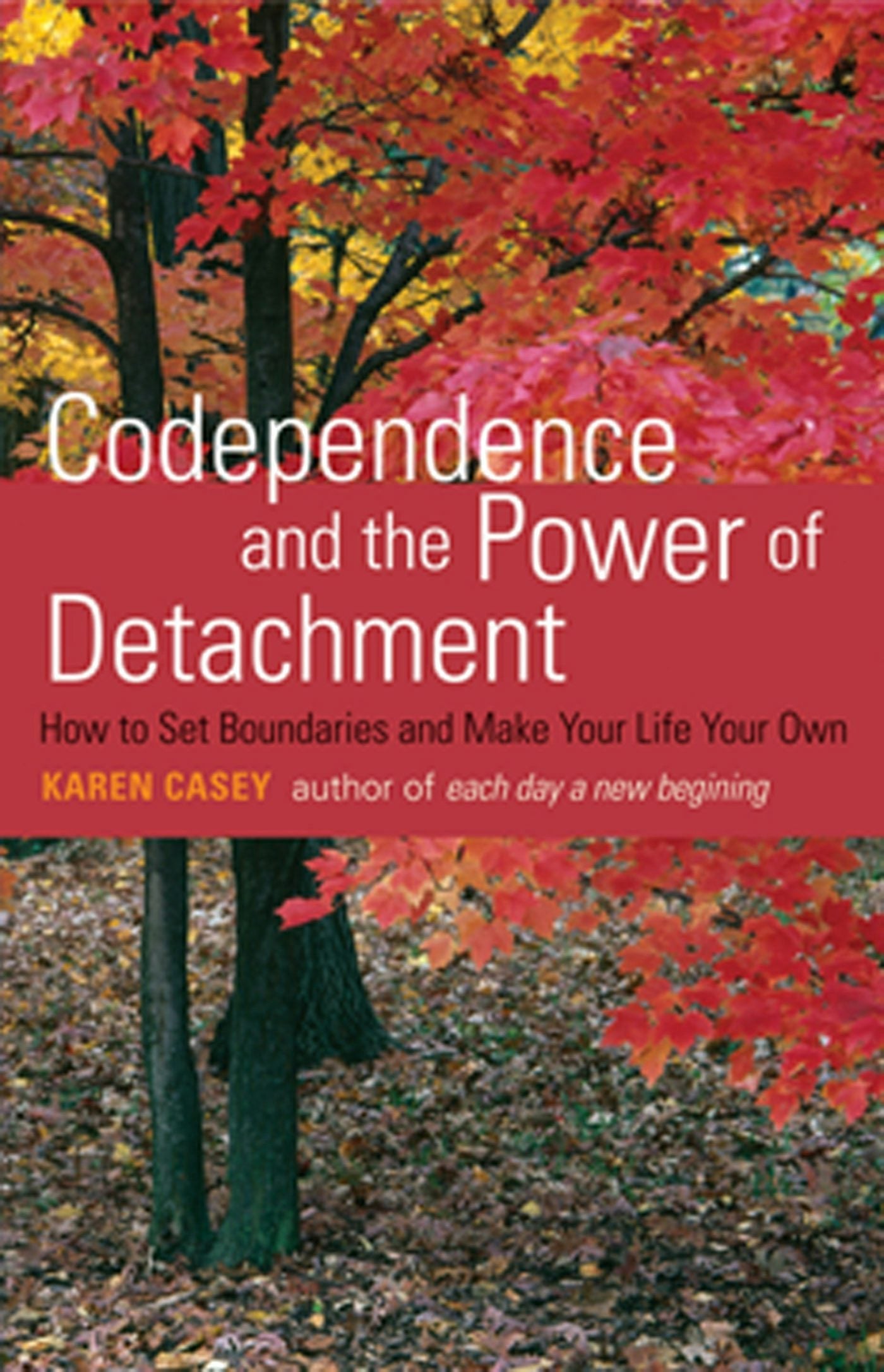 Book cover image for Codependence and the Power of Detachment ISBN: 9781609250102
