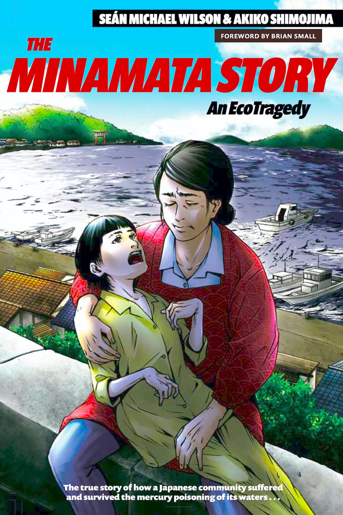 Cover image for The Minamata Story ISBN 9781611720563