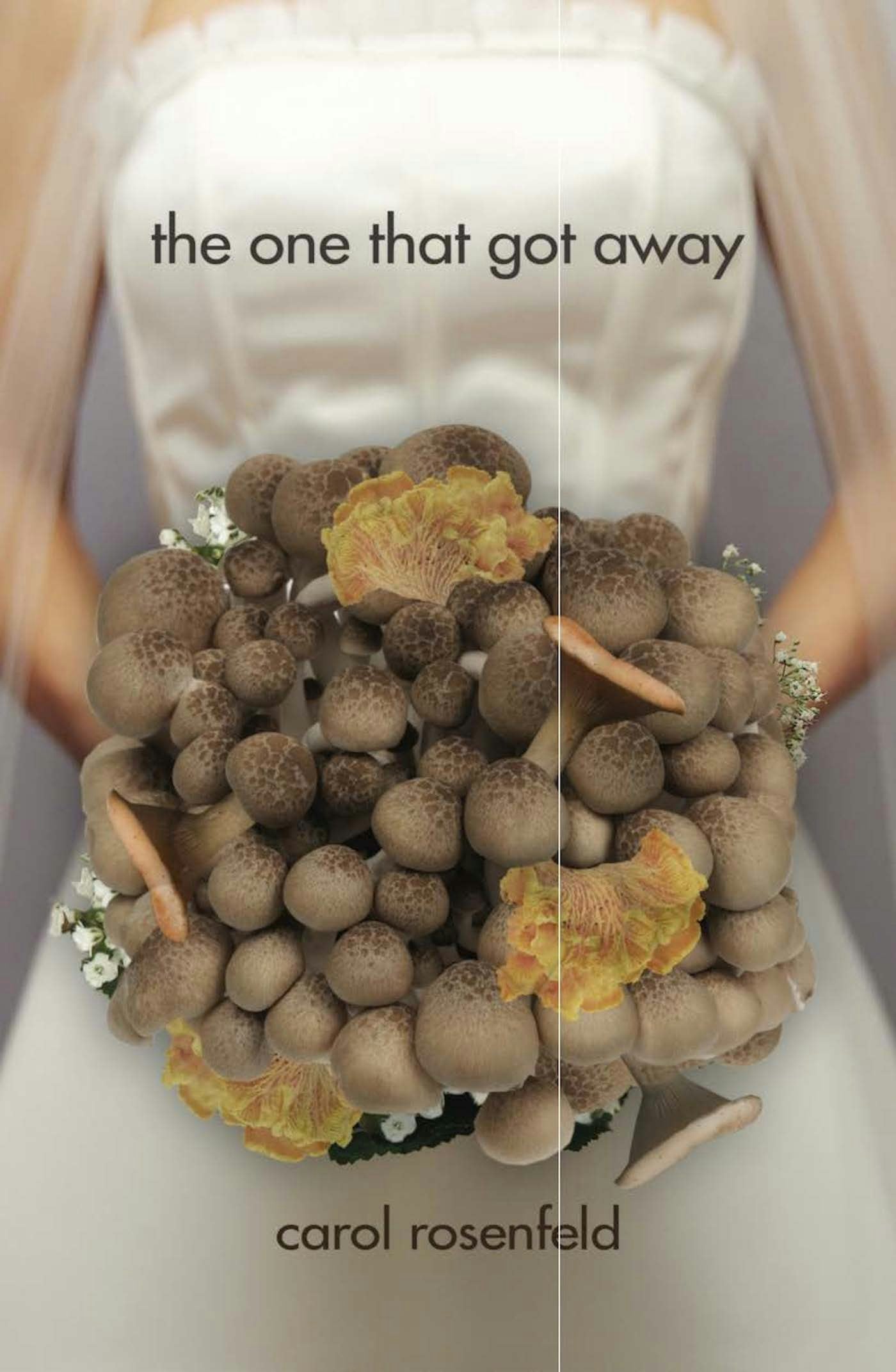 Book cover image for The One That Got Away ISBN: 9781612940601