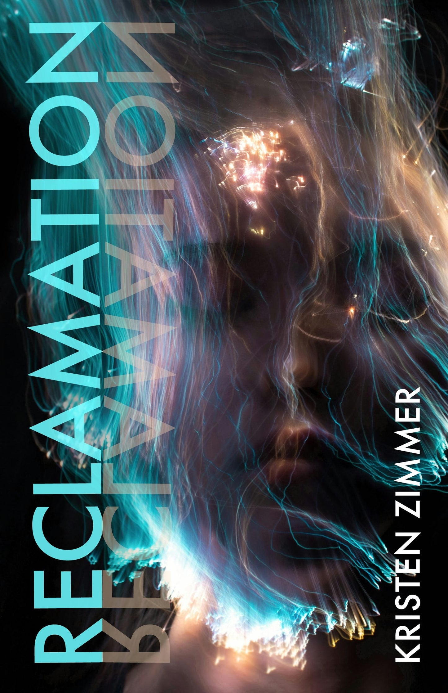Book cover image for Reclamation ISBN: 9781612943299