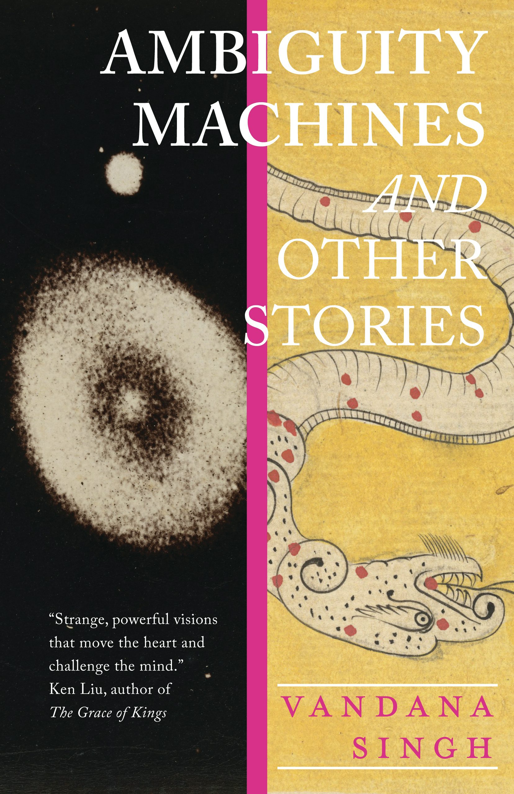 Book cover image for Ambiguity Machines ISBN: 9781618731432
