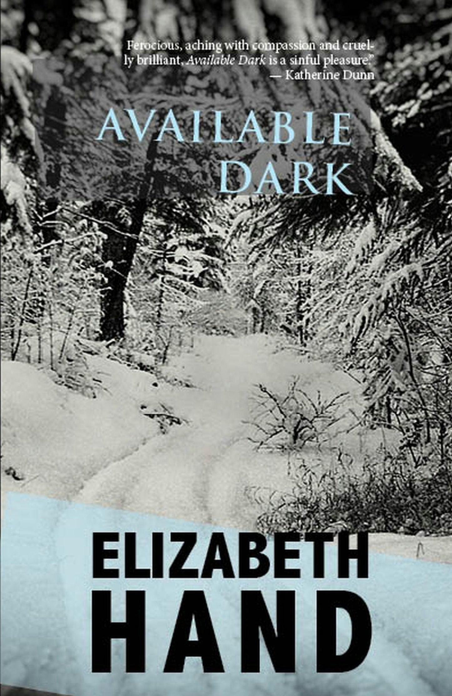Book cover image for Available Dark ISBN: 9781618731906
