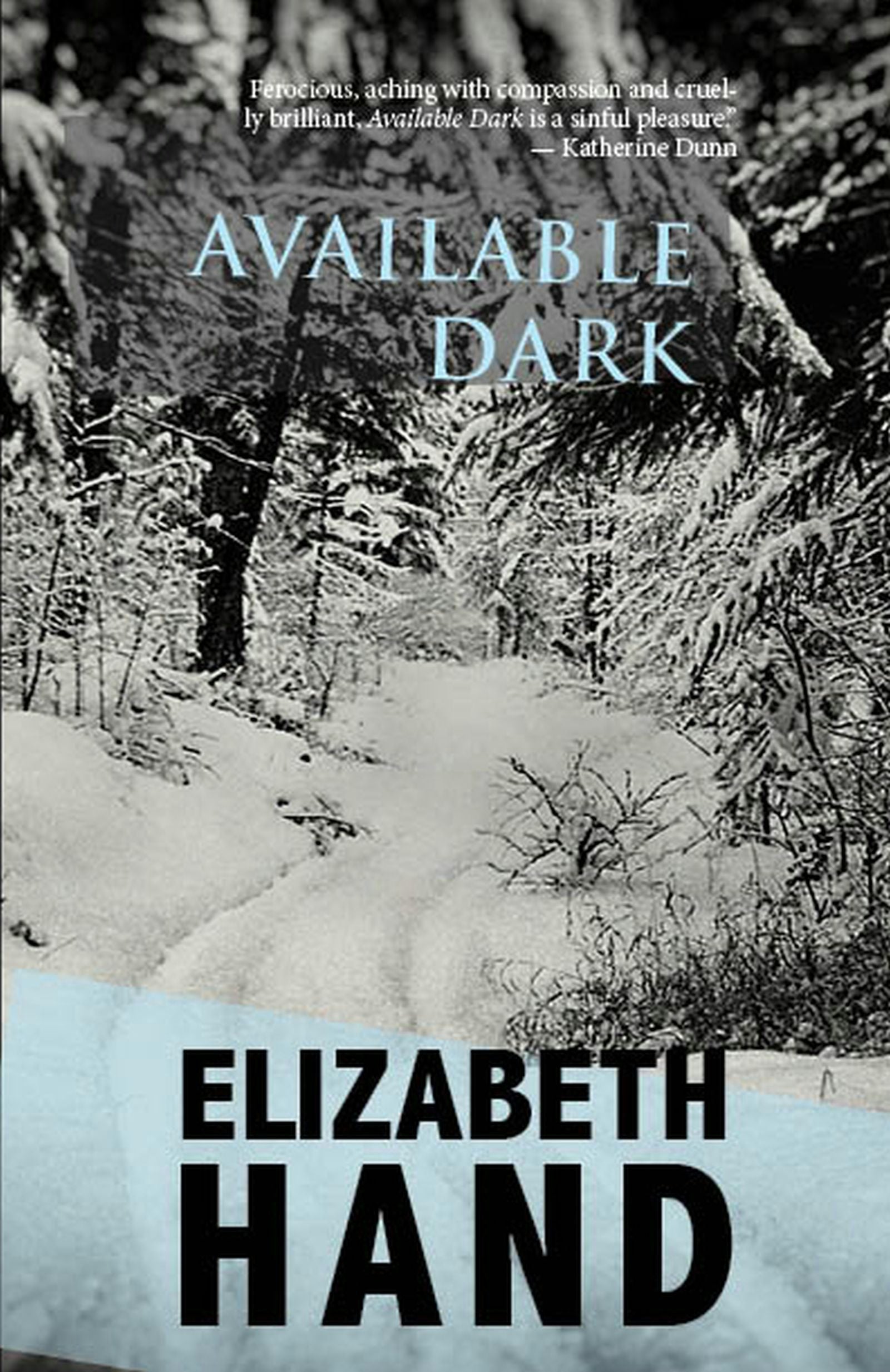 Book cover image for Available Dark ISBN: 9781618731906
