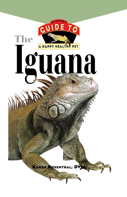 Book cover image for Iguana ISBN: 9781620457443