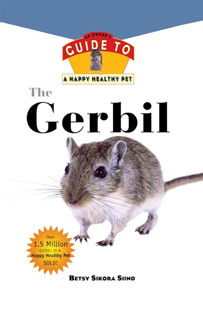 Book cover image for Gerbil ISBN: 9781620457627
