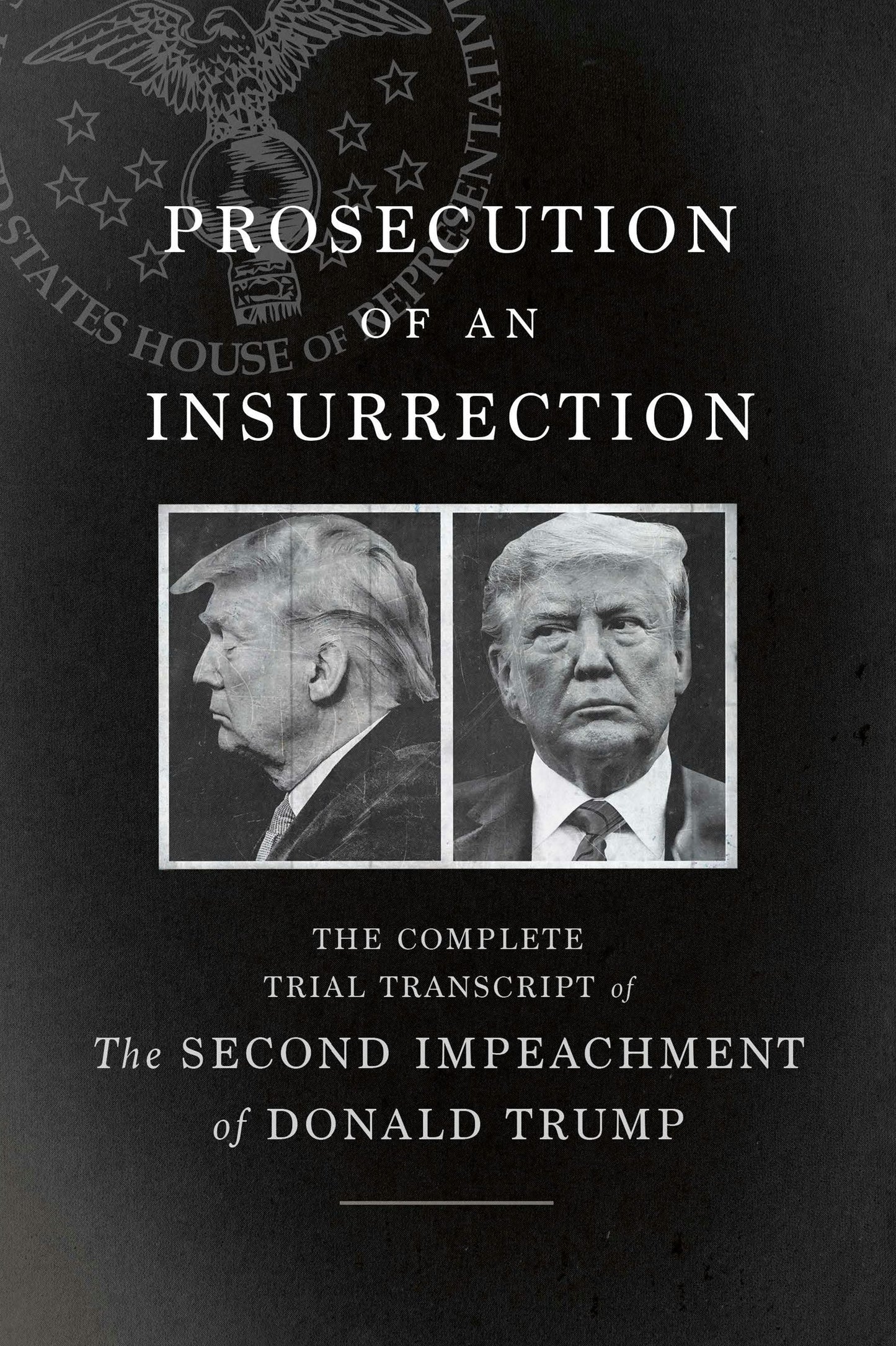 Book cover image for Prosecution of an Insurrection ISBN: 9781620977231