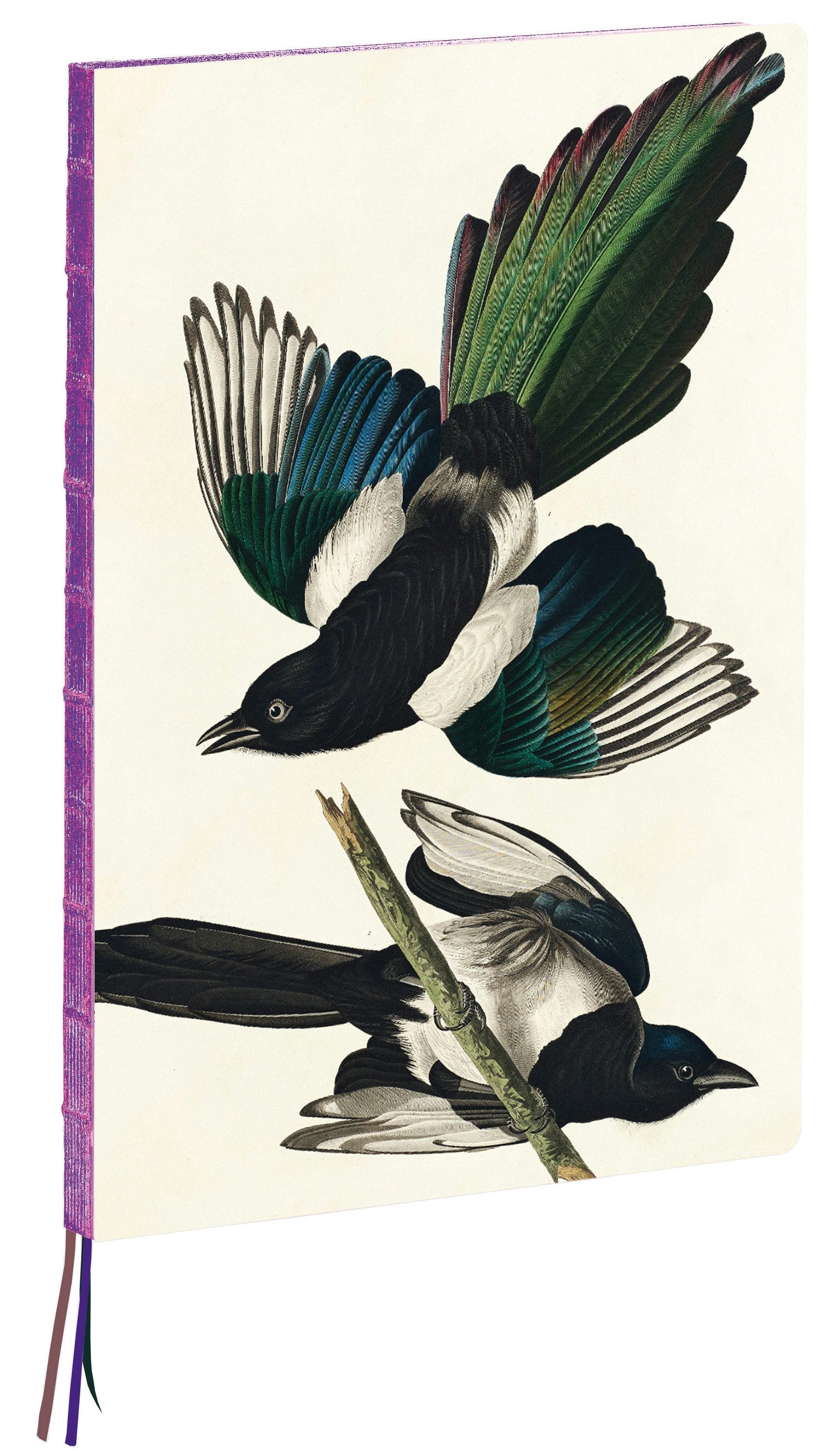 Book cover image for teNeues - A4 Notebook: Magpies by James Audubon, Hardcover - 230 Dot-Grid Pages with Exposed Lay Flat Binding, Three Ribbon Markers ISBN: 9781623259327