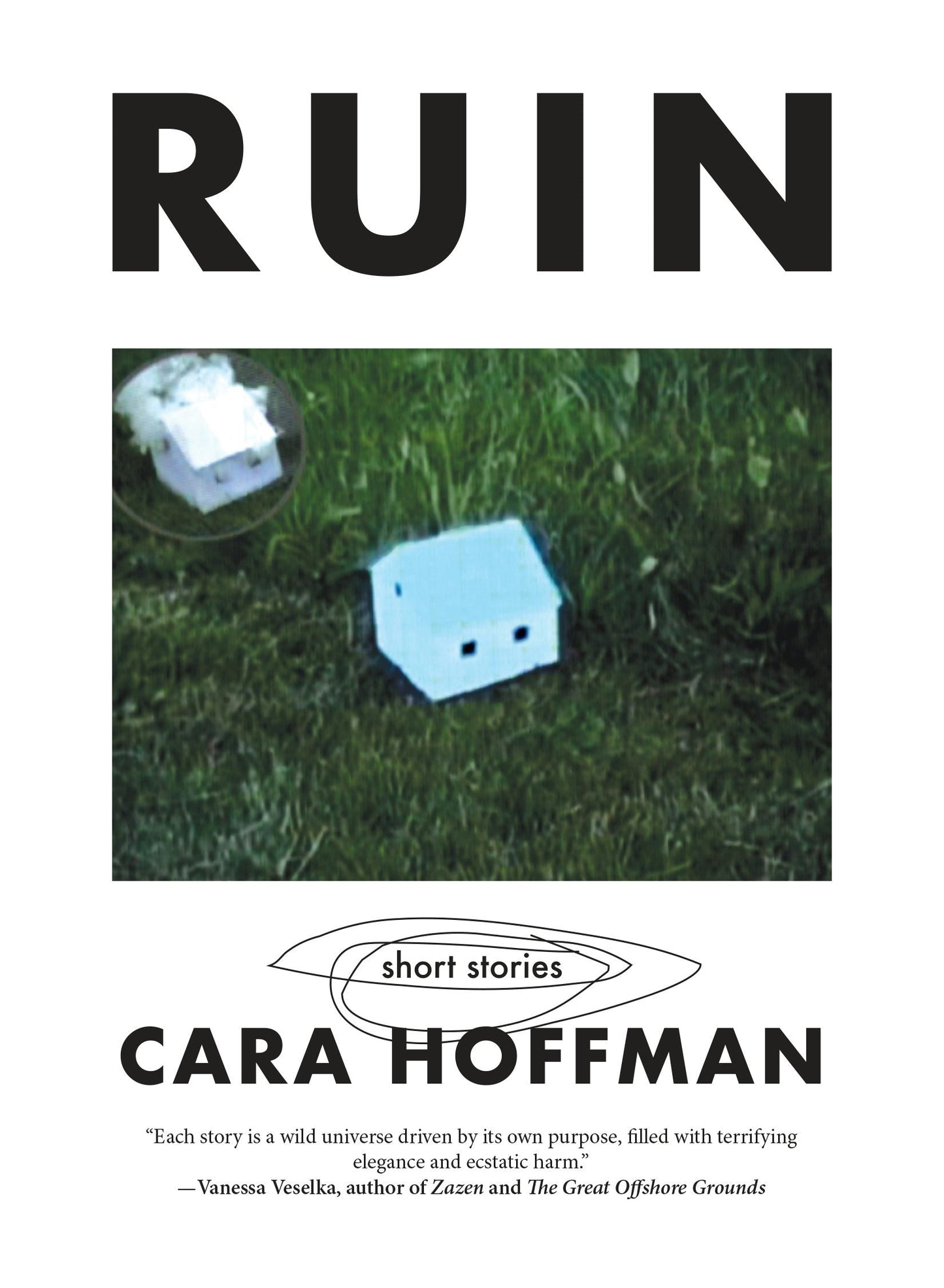 Book cover image for RUIN ISBN: 9781629639291