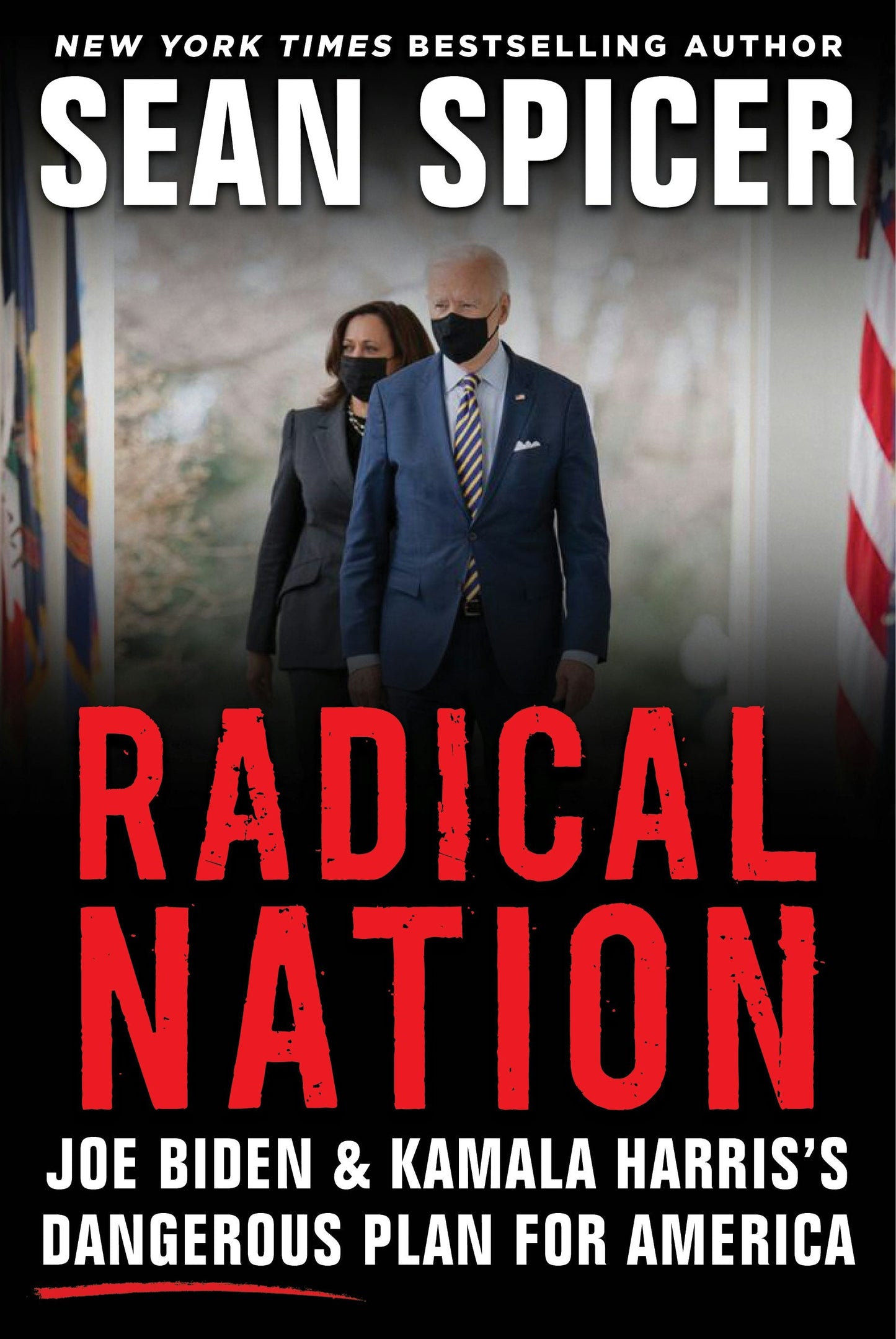 Book cover image for Radical Nation ISBN: 9781630061722