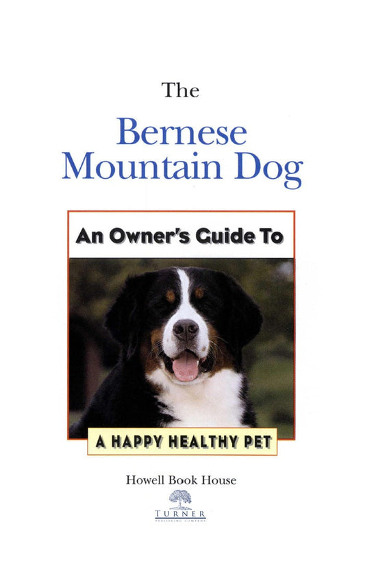 Bernese Mountain Dog