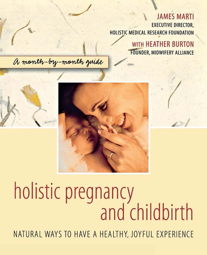 Book cover image for Holistic Pregnancy and Childbirth ISBN: 9781630261085
