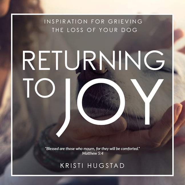 Book cover image for Returning to Joy ISBN: 9781631954238