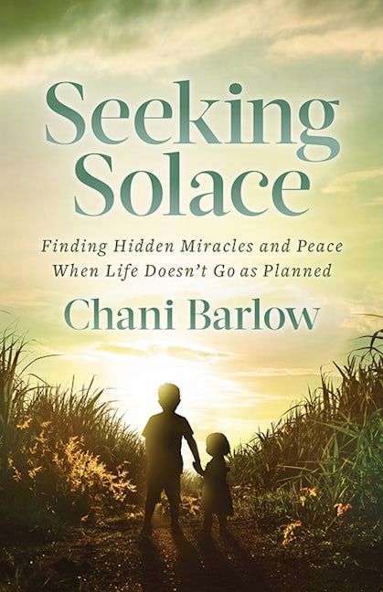 Book cover image for Seeking Solace ISBN: 9781631957963