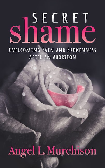 Book cover image for Secret Shame ISBN: 9781631958991