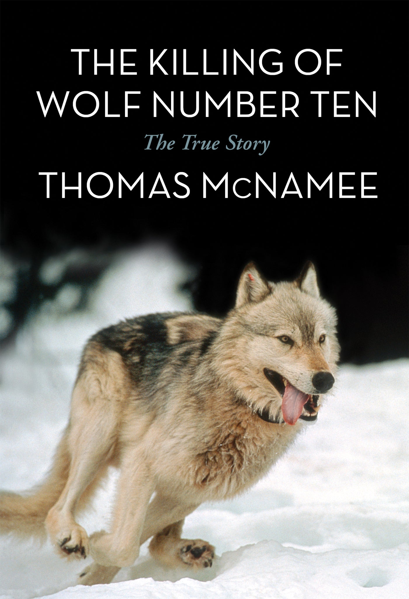 Cover image for The Killing of Wolf Number Ten ISBN 9781632260000