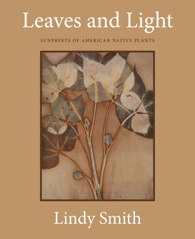 Cover image for Leaves and Light, isbn: 9781632261533