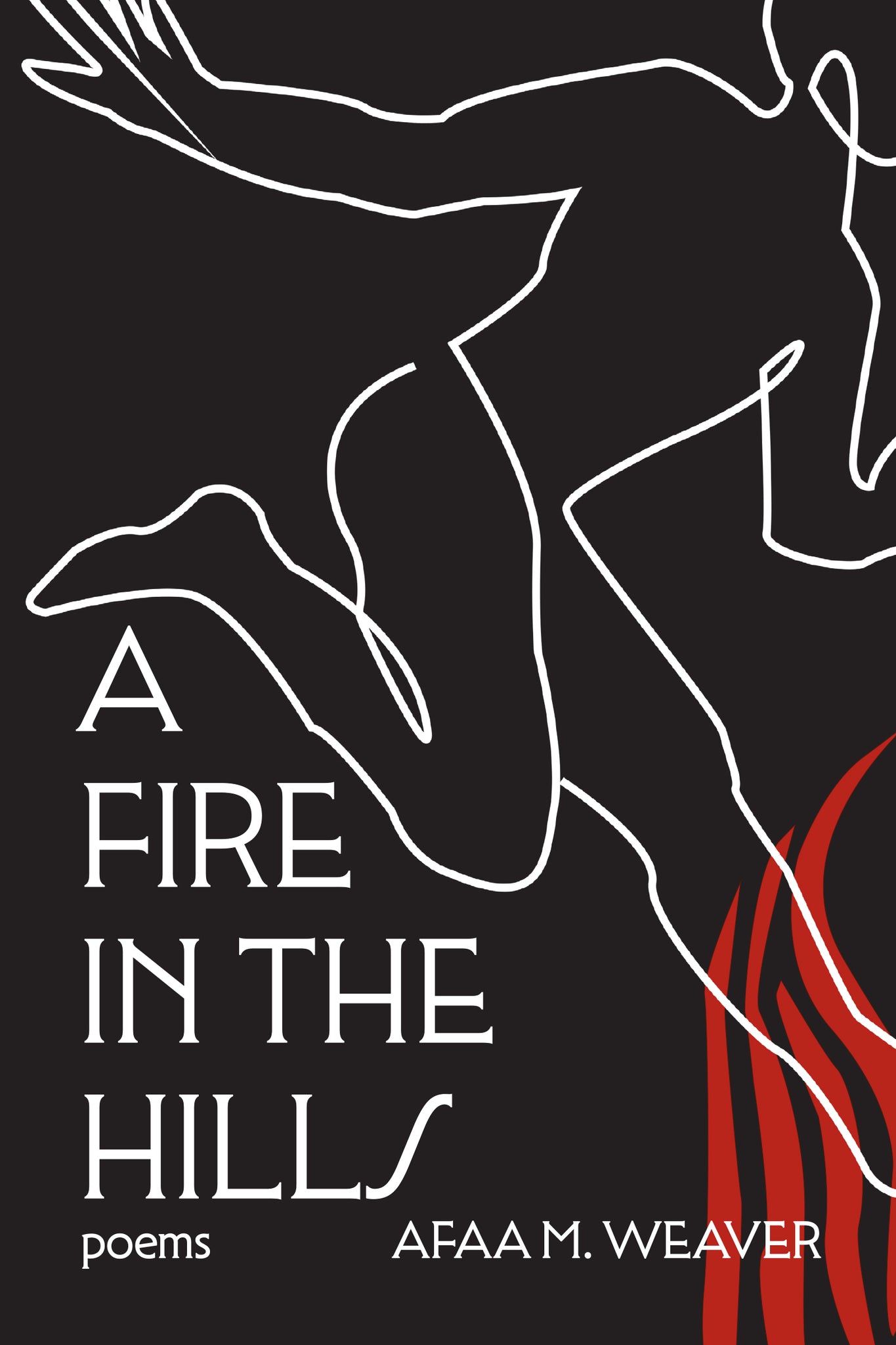Cover image for A Fire in the Hills ISBN 9781636280837