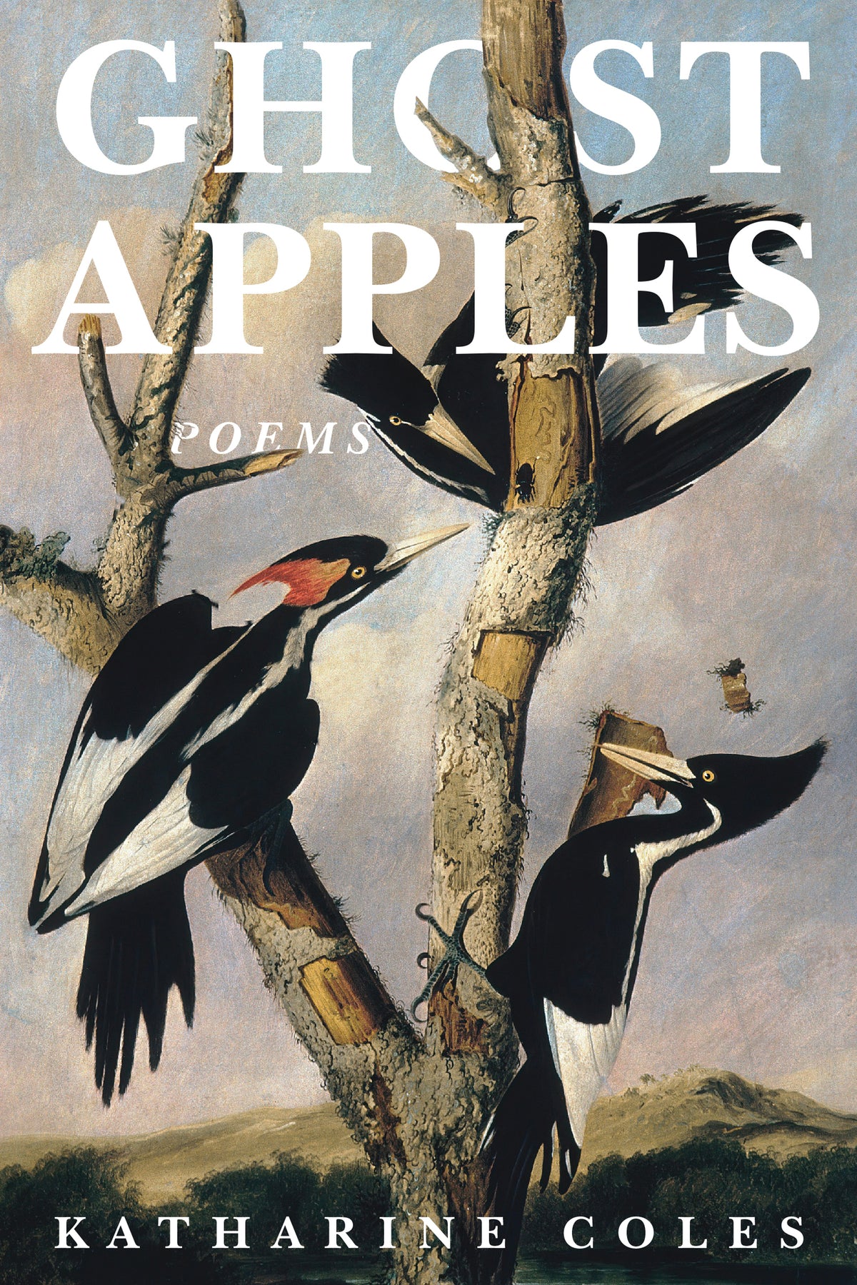 Cover image for Ghost Apples ISBN 9781636280844