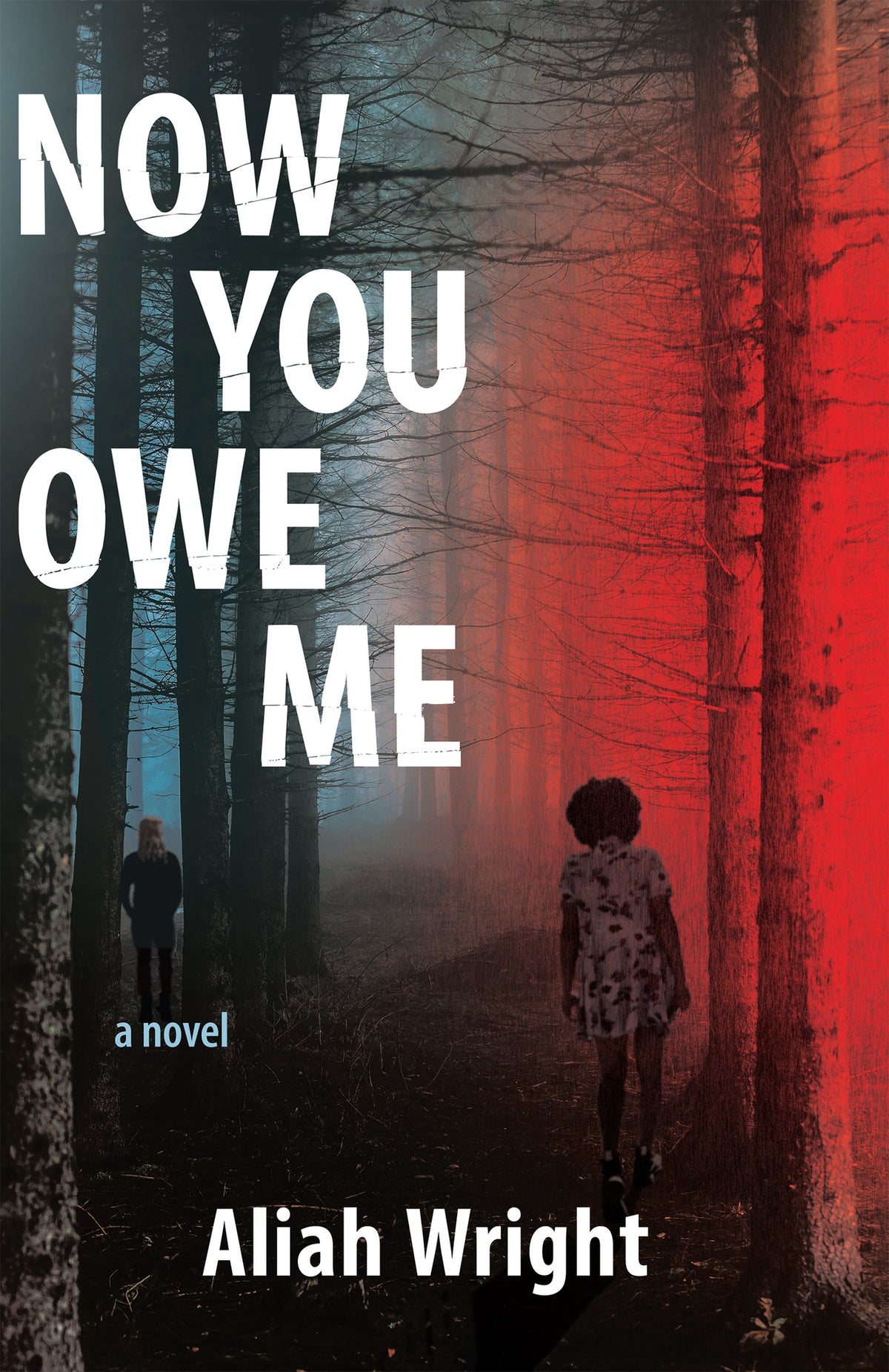 Cover image for Now You Owe Me ISBN 9781636281568