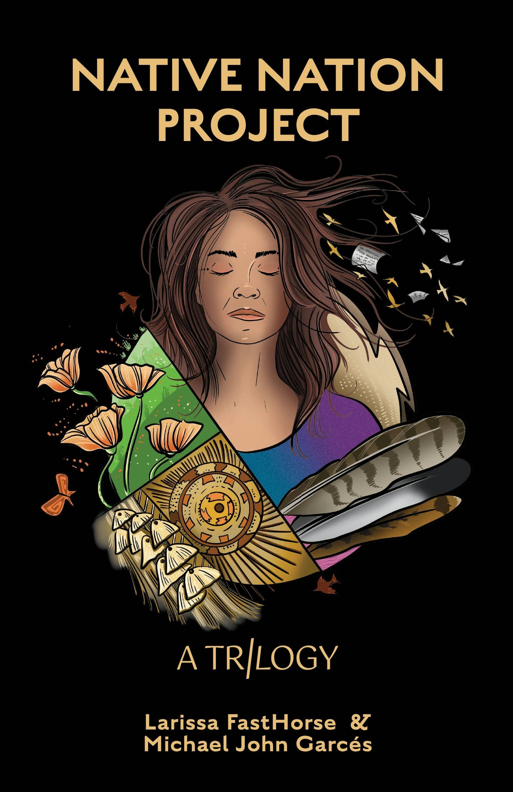 Book cover image for Native Nation Project ISBN: 9781636702476