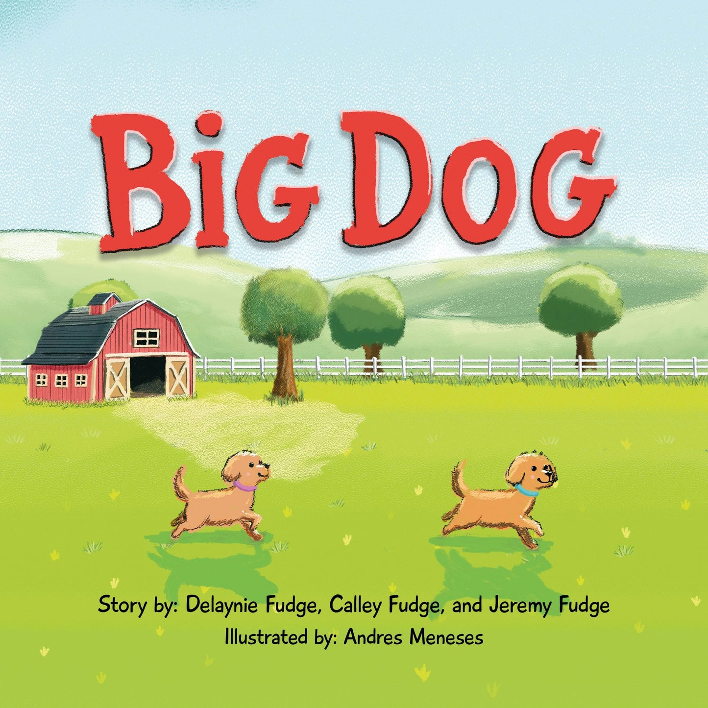 Book cover image for Big Dog ISBN: 9781636986074