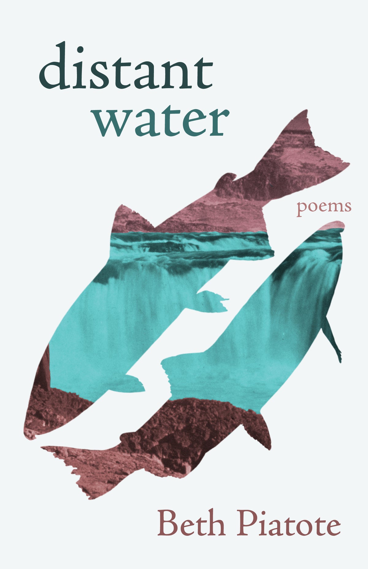 Cover image for distant water ISBN 9781639551682