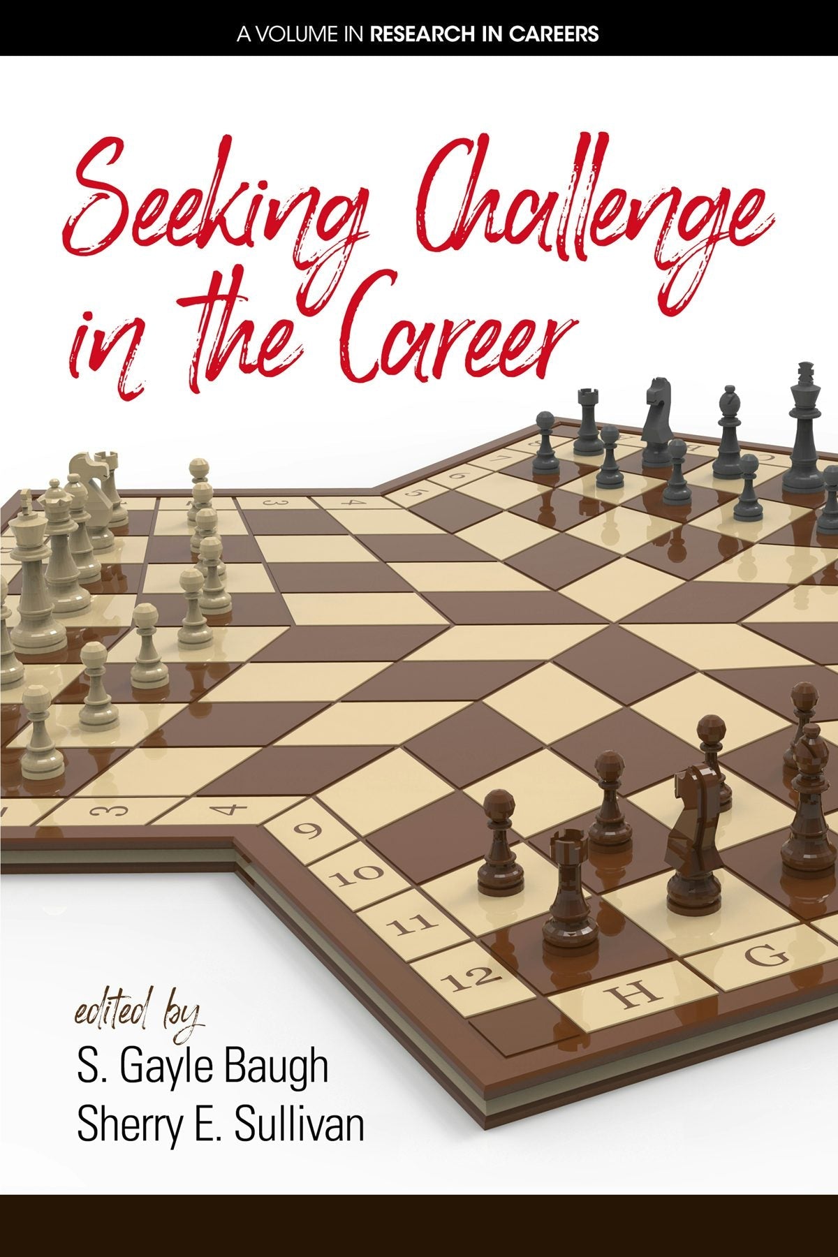 Book cover image for Seeking Challenge in the Career ISBN: 9781641131896