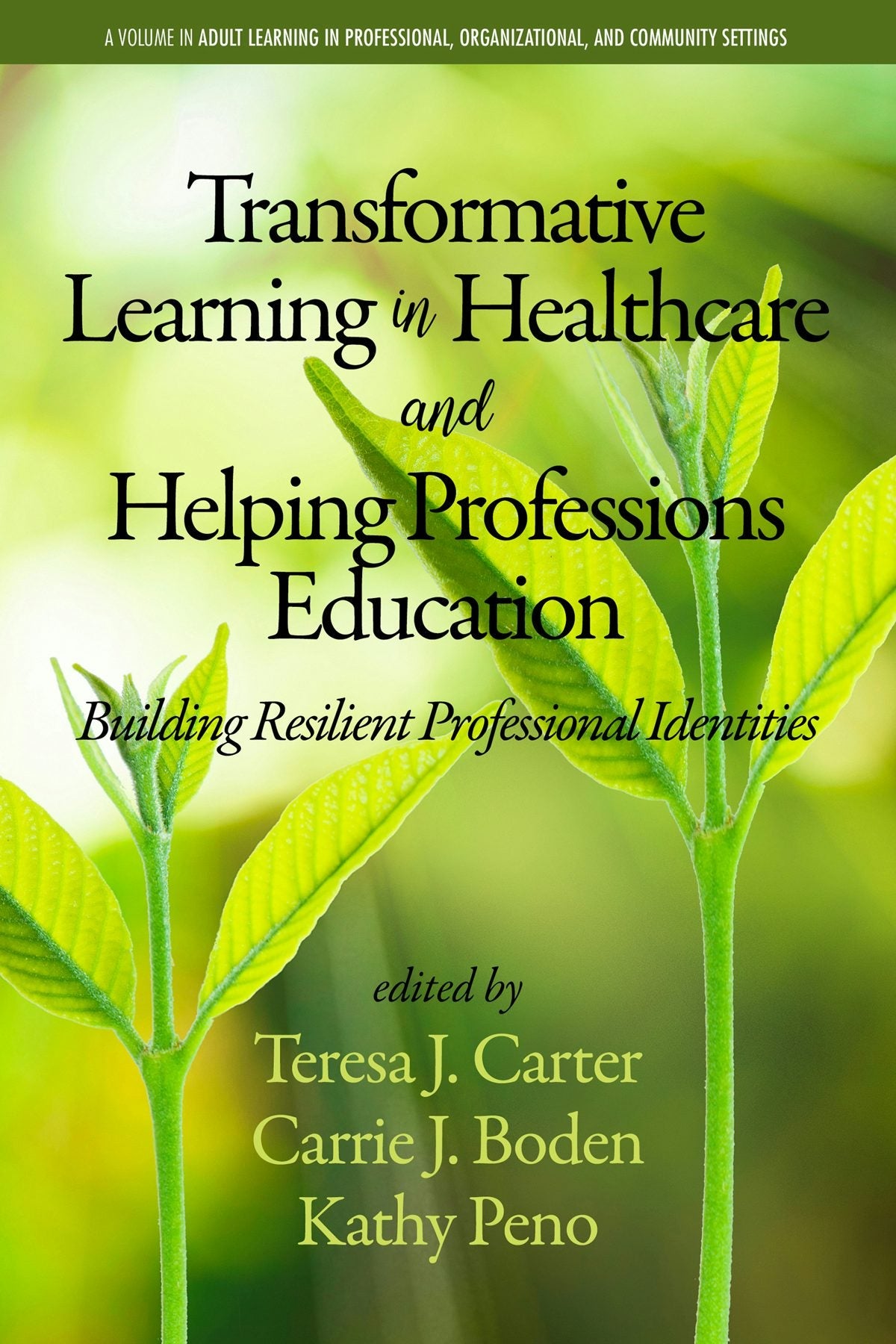 Book cover image for Transformative Learning in Healthcare and Helping Professions Education ISBN: 9781641136792