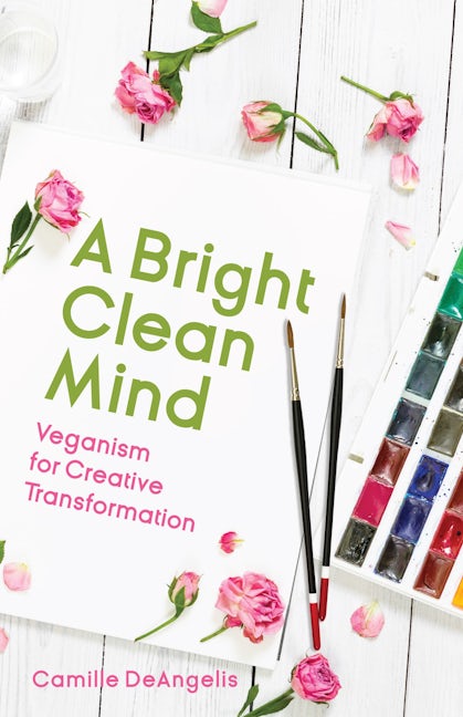 Book cover image for A Bright Clean Mind ISBN: 9781642500745