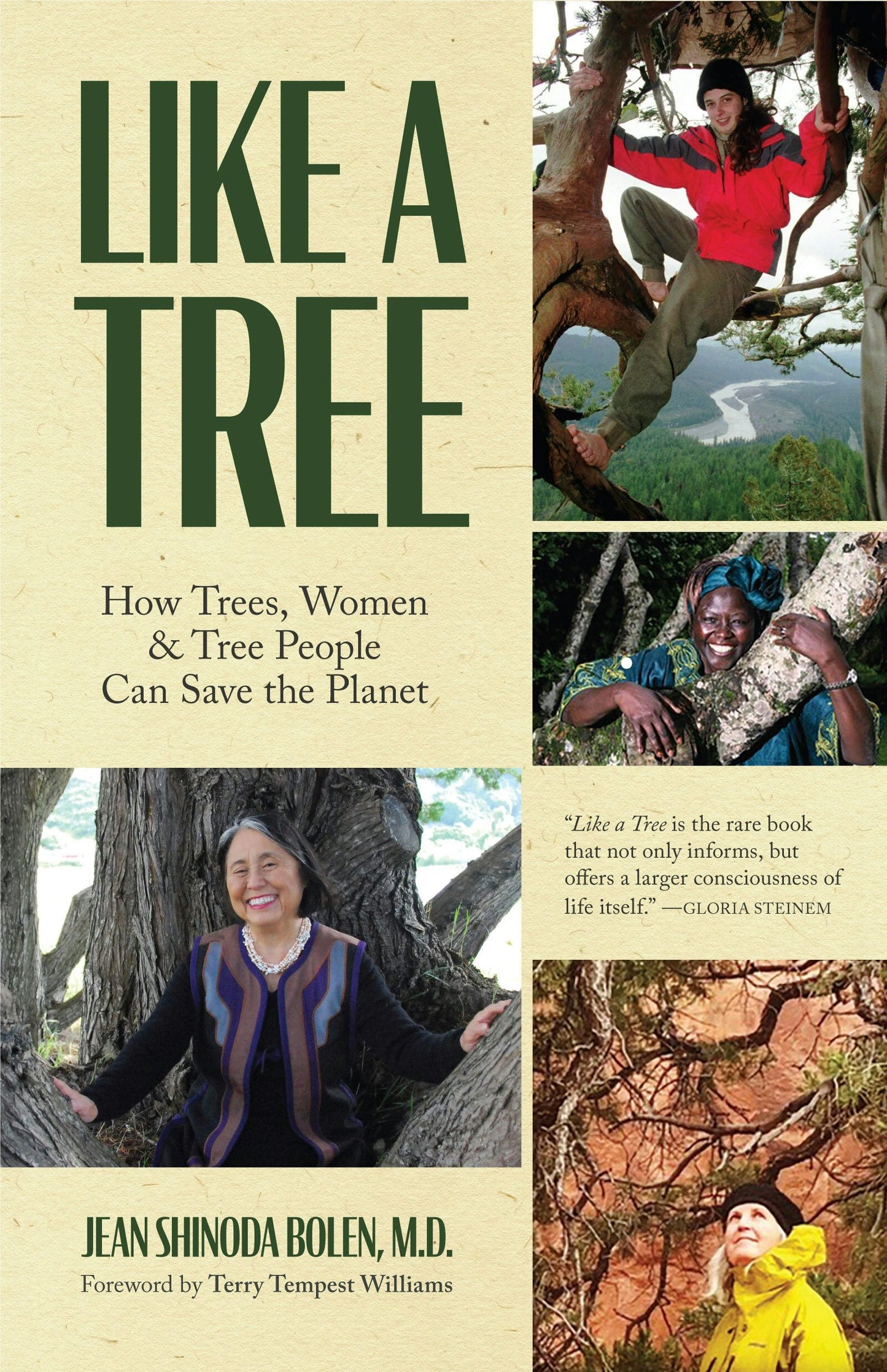 Book cover image for Like a Tree ISBN: 9781642504064